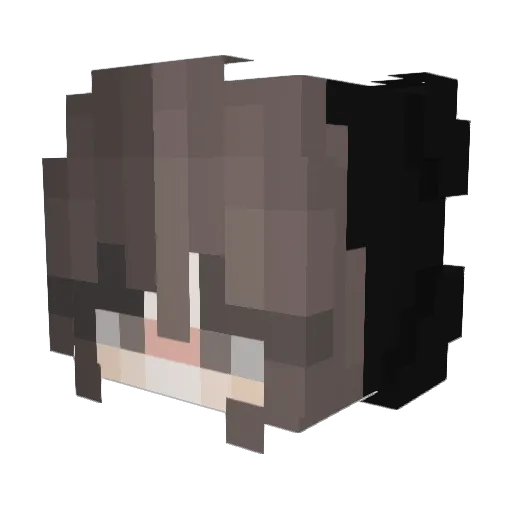 IMadeYouReadMe_c Minecraft avatar head, 3D render