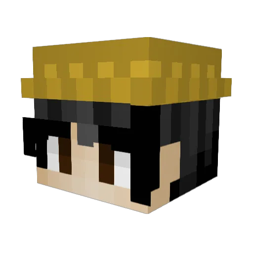 IMainFarming Minecraft avatar head, 3D render