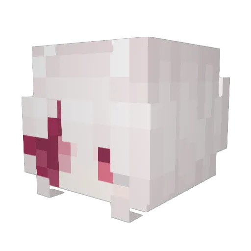 IMes__ Minecraft avatar head, 3D render