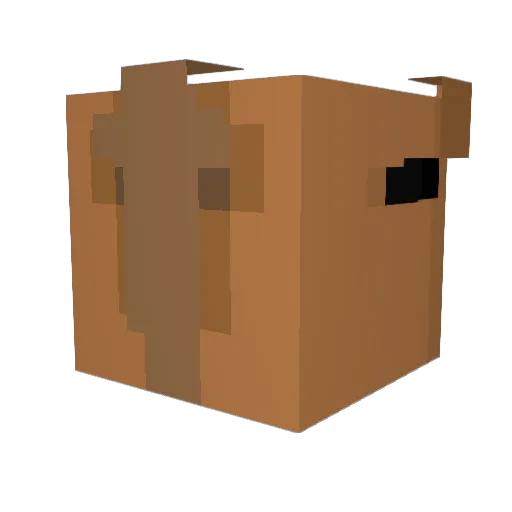 IMunchPoop Minecraft avatar head, 3D render
