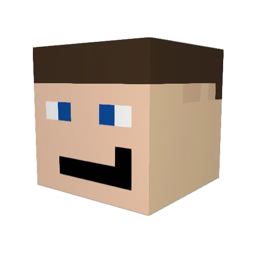 INDIGWAY Minecraft avatar head, 3D render