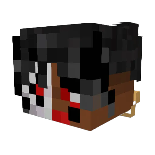INFINITE_SPACE_ Minecraft avatar head, 3D render