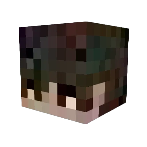 INF_ERNO Minecraft avatar head, 3D render