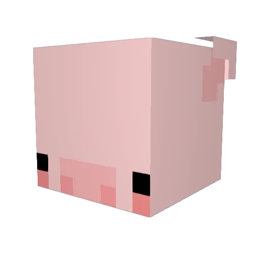 INGYOEKING Minecraft avatar head, 3D render