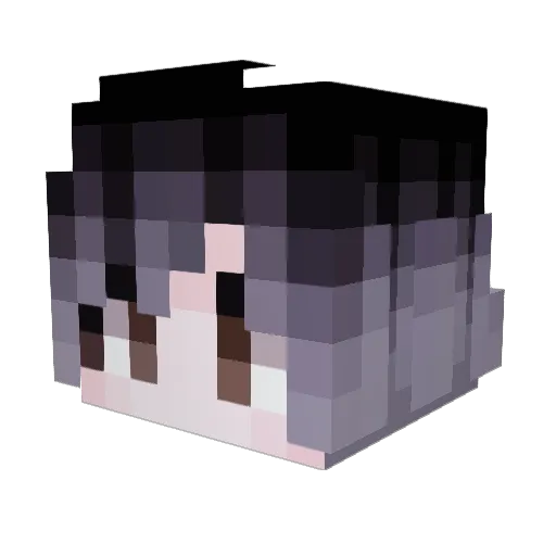 INKing9495 Minecraft avatar head, 3D render