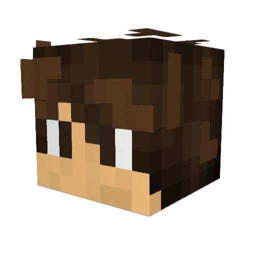 INRDragonWarrior Minecraft avatar head, 3D render