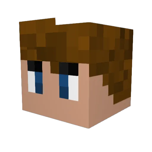 INSANELYCOOLGUY Minecraft avatar head, 3D render