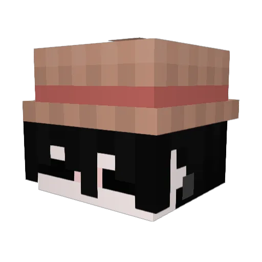 INV1NC1BLE_ Minecraft avatar head, 3D render