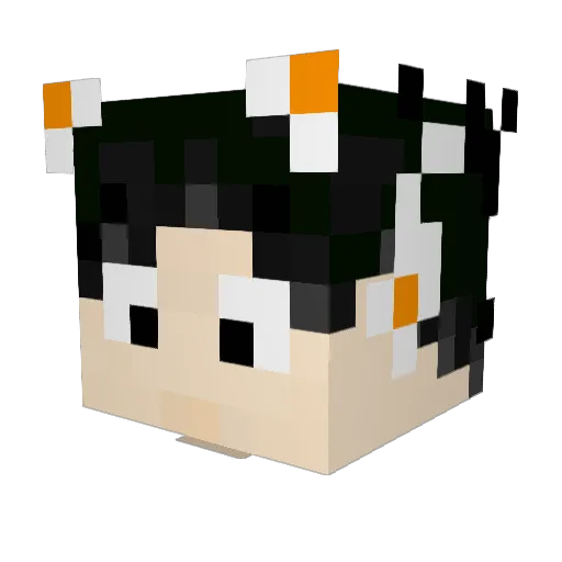 INVISIBLE9088 Minecraft avatar head, 3D render