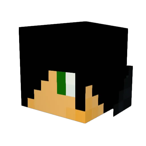INaSHOT Minecraft avatar head, 3D render