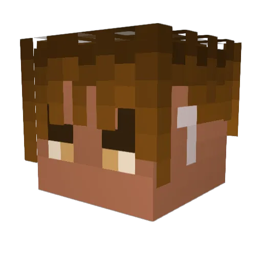INephoZ_ Minecraft avatar head, 3D render