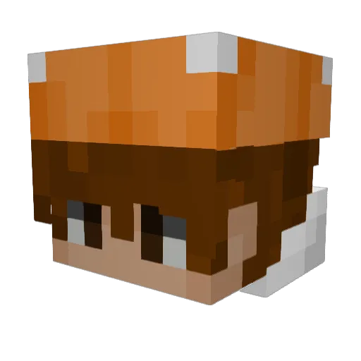 IOA2 Minecraft avatar head, 3D render