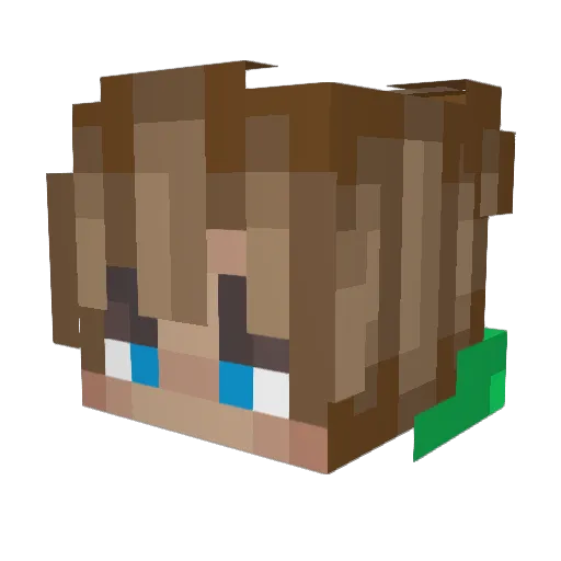 IOP43 Minecraft avatar head, 3D render