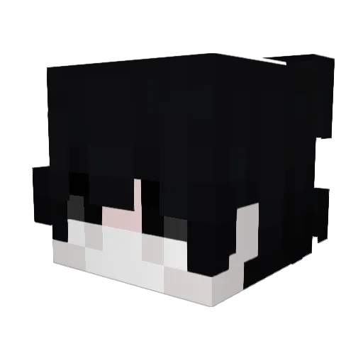 IOTA_ZG Minecraft avatar head, 3D render