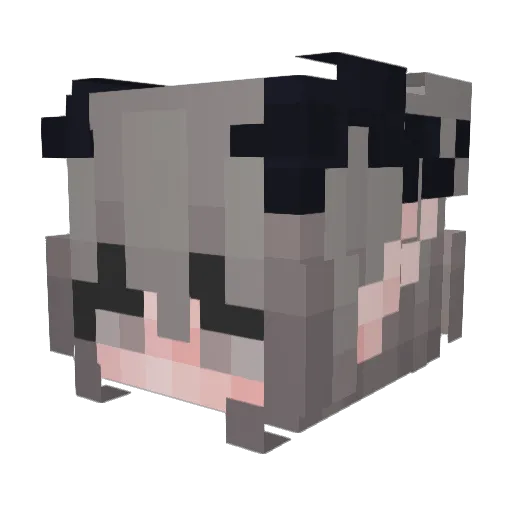 IOmlyPlayTrees Minecraft avatar head, 3D render