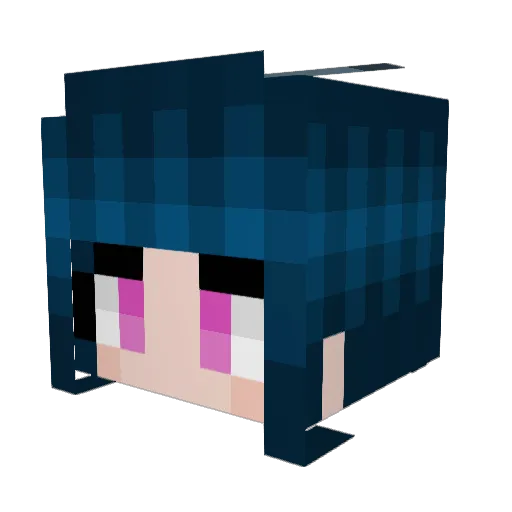 IPDUCK001 Minecraft avatar head, 3D render