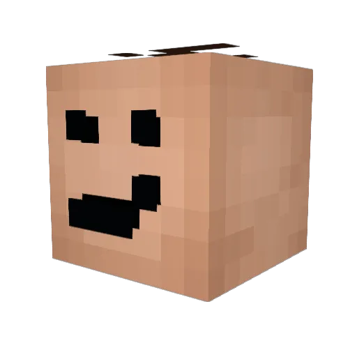 IPoopInTheShower Minecraft avatar head, 3D render