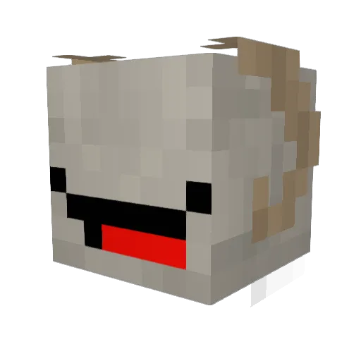 IPopZin Minecraft avatar head, 3D render