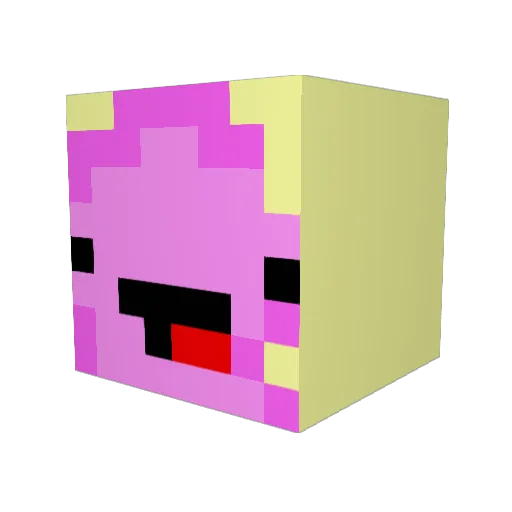 IPoptartCat Minecraft avatar head, 3D render
