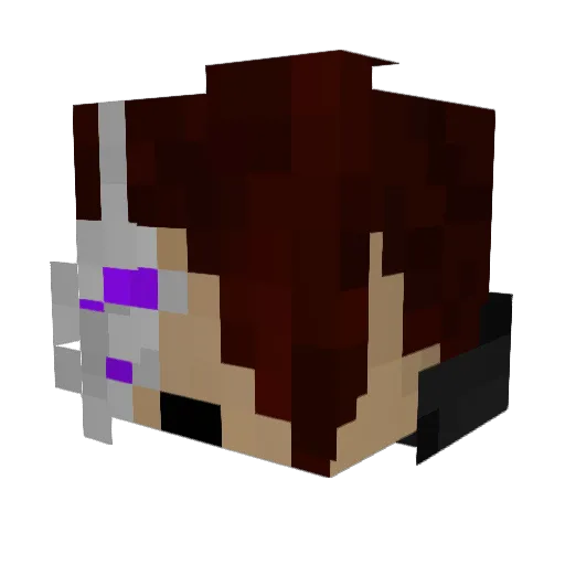IPv4 Minecraft avatar head, 3D render