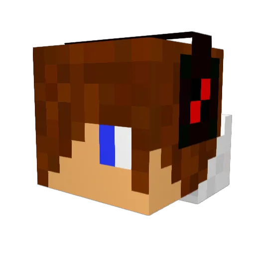 IQCraft9 Minecraft avatar head, 3D render