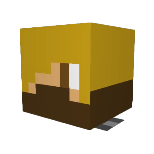 IQ_220 Minecraft avatar head, 3D render