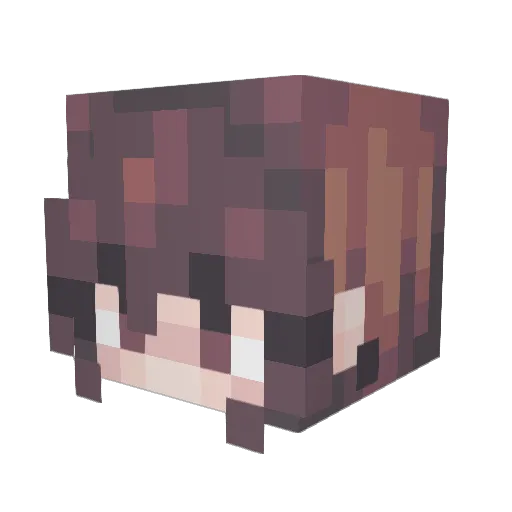 IQof5 Minecraft avatar head, 3D render