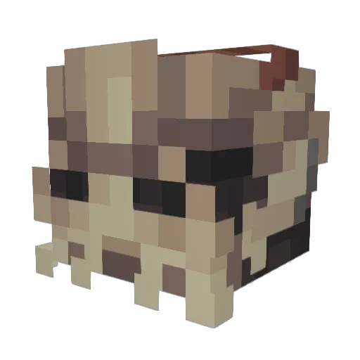 IRAndItsCnsqnces Minecraft avatar head, 3D render