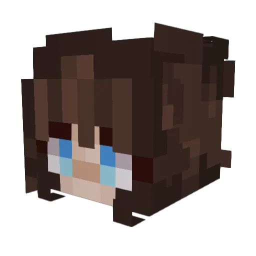 IRISH_apple1234 Minecraft avatar head, 3D render