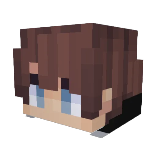 IRONSTARR_ Minecraft avatar head, 3D render