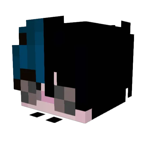 IRVINSA_2005 Minecraft avatar head, 3D render
