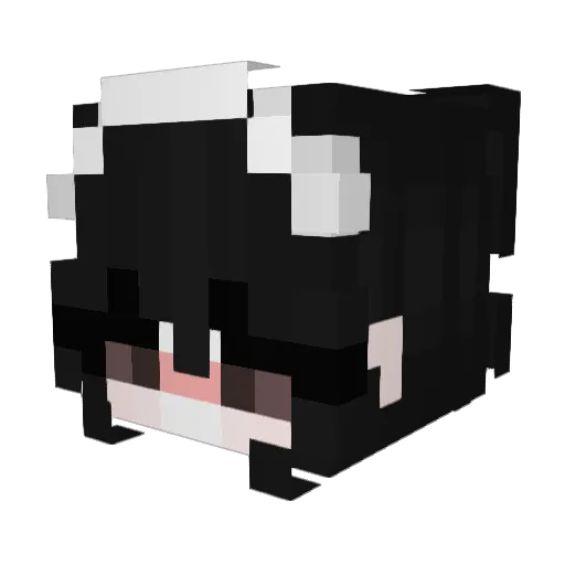IR_Best Minecraft avatar head, 3D render