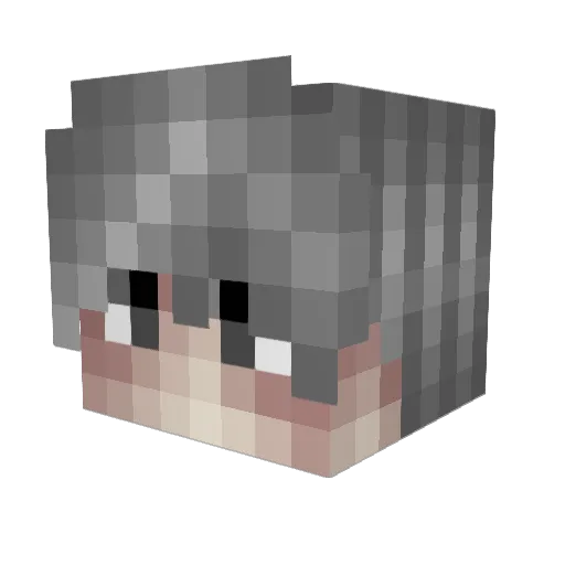 IRayla Minecraft avatar head, 3D render