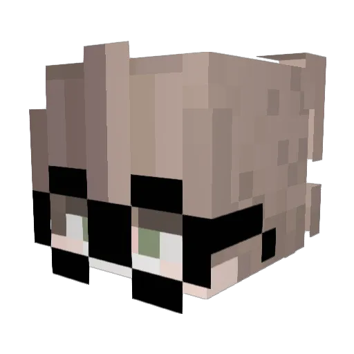 IRickyRickonI Minecraft avatar head, 3D render