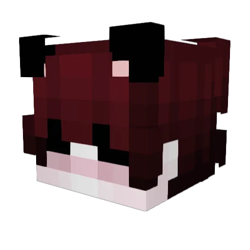 IRin00 Minecraft avatar head, 3D render