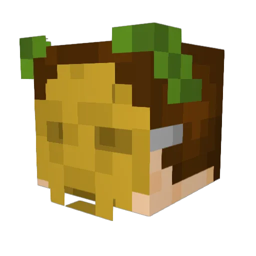 IRogos Minecraft avatar head, 3D render
