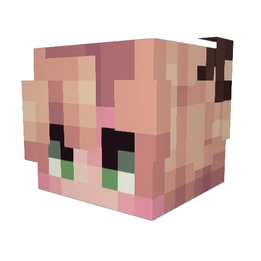 IRoughNeck0 Minecraft avatar head, 3D render
