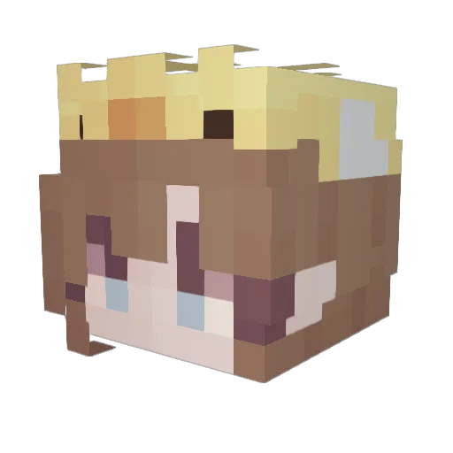 IRuleYou Minecraft avatar head, 3D render