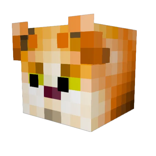 IRwhite Minecraft avatar head, 3D render