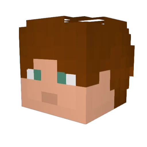 IRyeNI Minecraft avatar head, 3D render