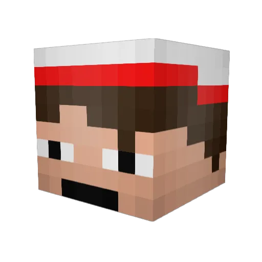 IRyuuuu Minecraft avatar head, 3D render