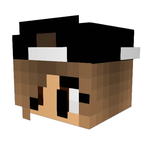 ISA2017 Minecraft avatar head, 3D render