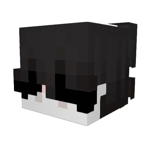 ISadnessI Minecraft avatar head, 3D render
