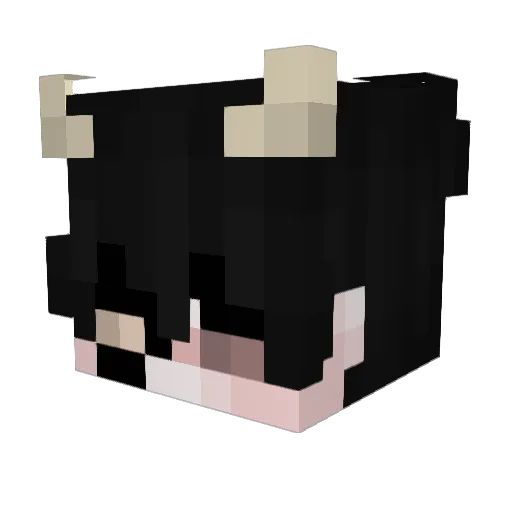 ISimp4PacanonoI Minecraft avatar head, 3D render