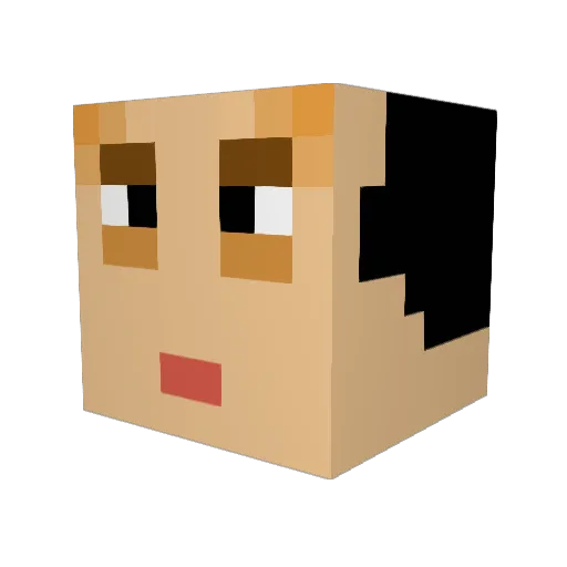 ISo_Exotic Minecraft avatar head, 3D render