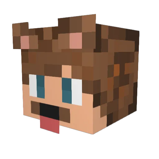 IStanCrafterI Minecraft avatar head, 3D render