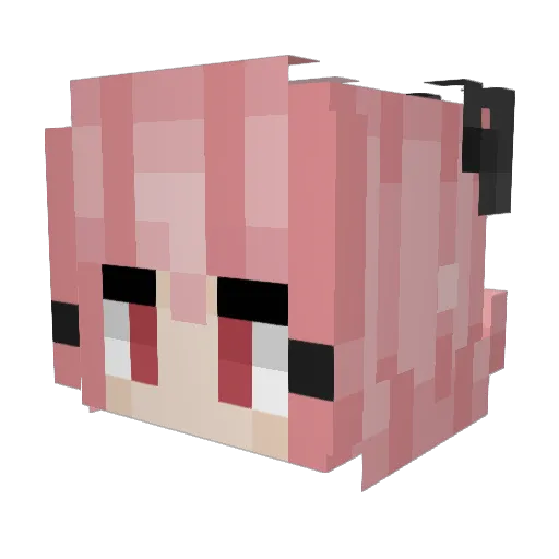 IStepOnTurtles Minecraft avatar head, 3D render