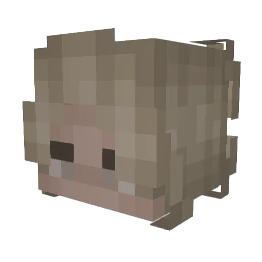 ISuckYourSoul Minecraft avatar head, 3D render