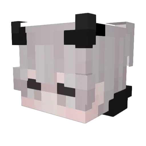 ISunriseI Minecraft avatar head, 3D render