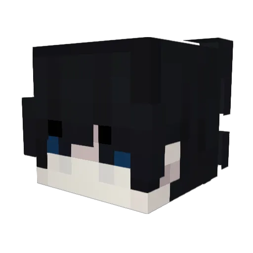 IT19 Minecraft avatar head, 3D render